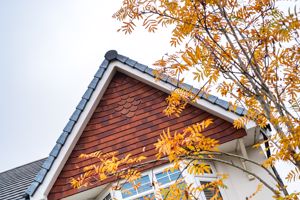 Photo 29- click for photo gallery